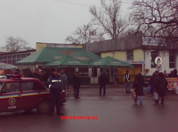 Позорище працівників ДАІ  в Заліщиках